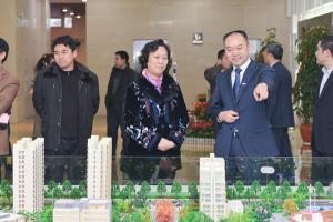 洛陽新區黨工委書記高淩芝視察炎黃科技園